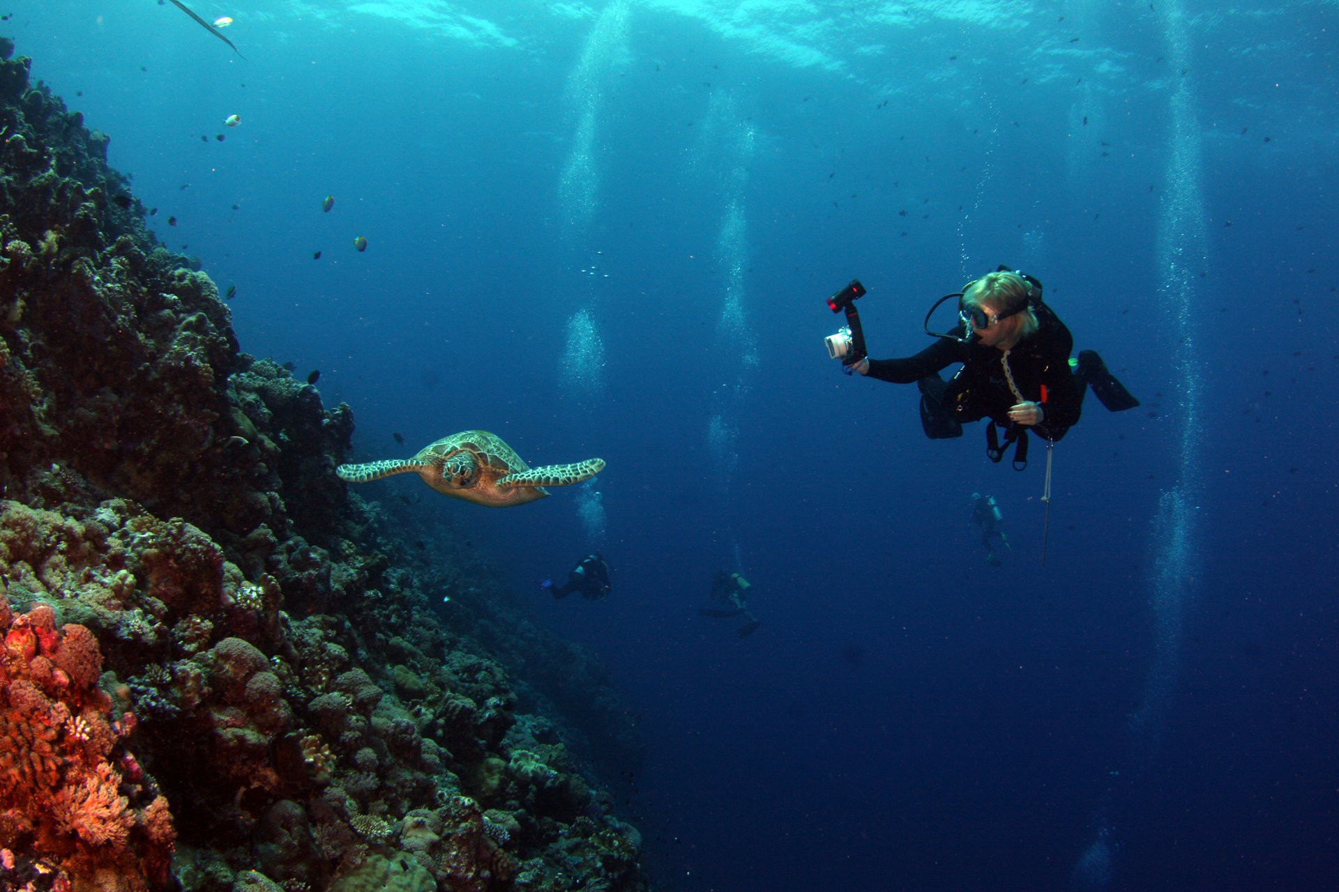 Curso Advanced Open Water La Herradura